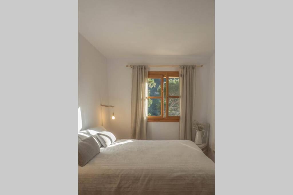 Casa Mistral, Un Paraiso De Mar Y Montana バルデモサ エクステリア 写真