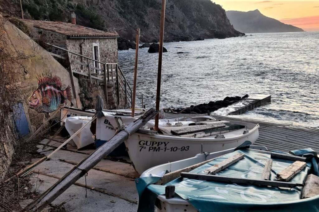 Casa Mistral, Un Paraiso De Mar Y Montana バルデモサ エクステリア 写真